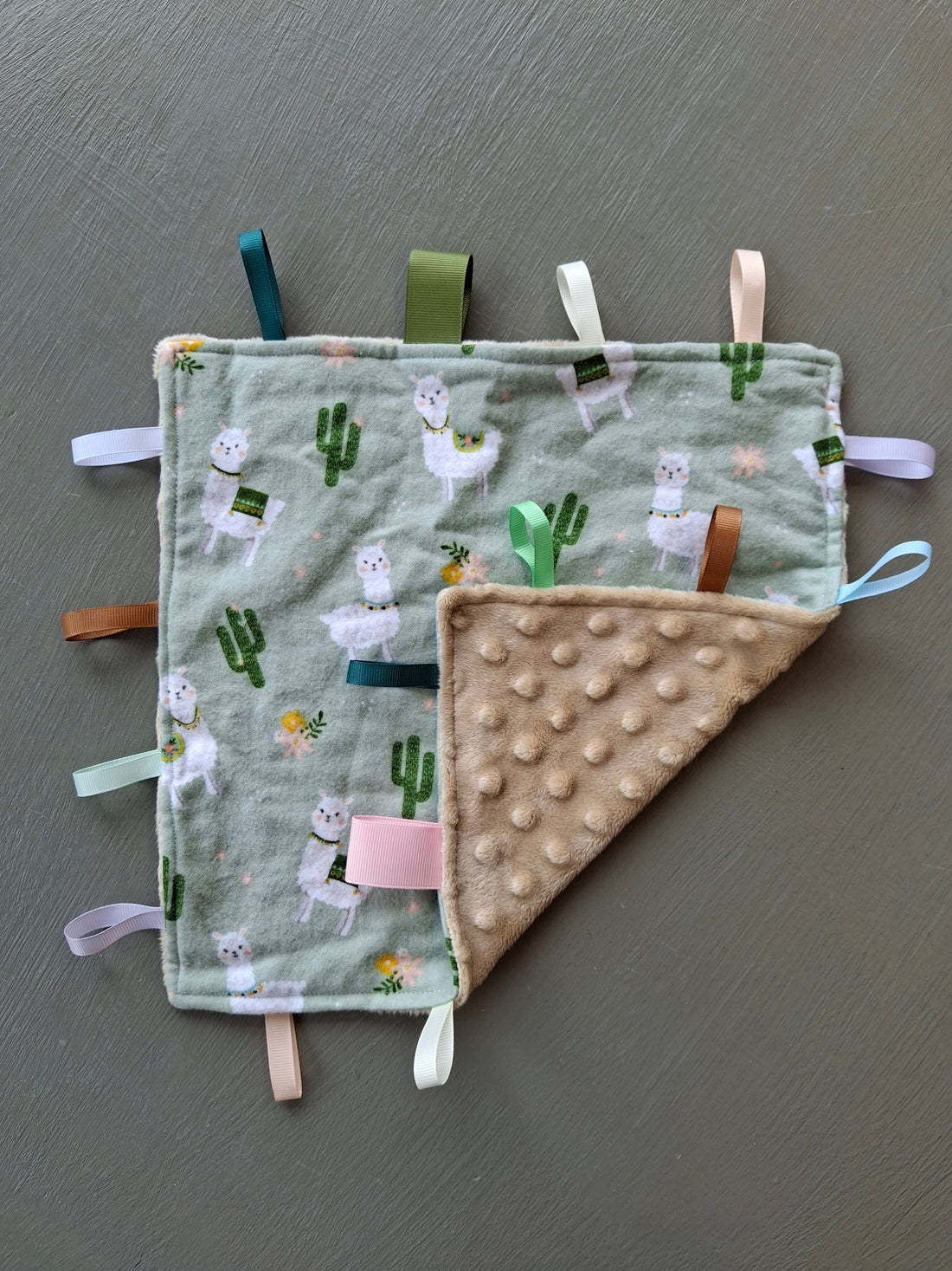 Alpaca + Cacti Baby Taggy