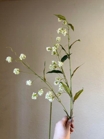 White Wildflower Stem