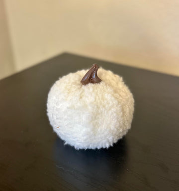 White Fuzzy Pumpkin