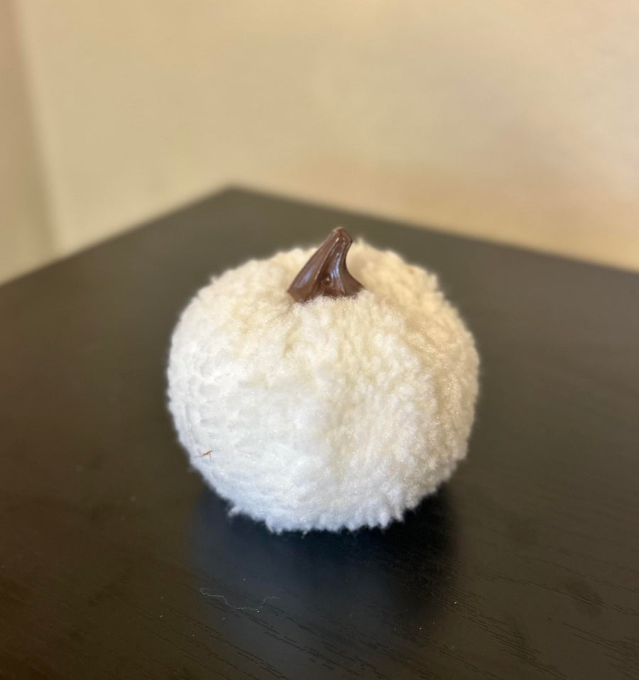 White Fuzzy Pumpkin