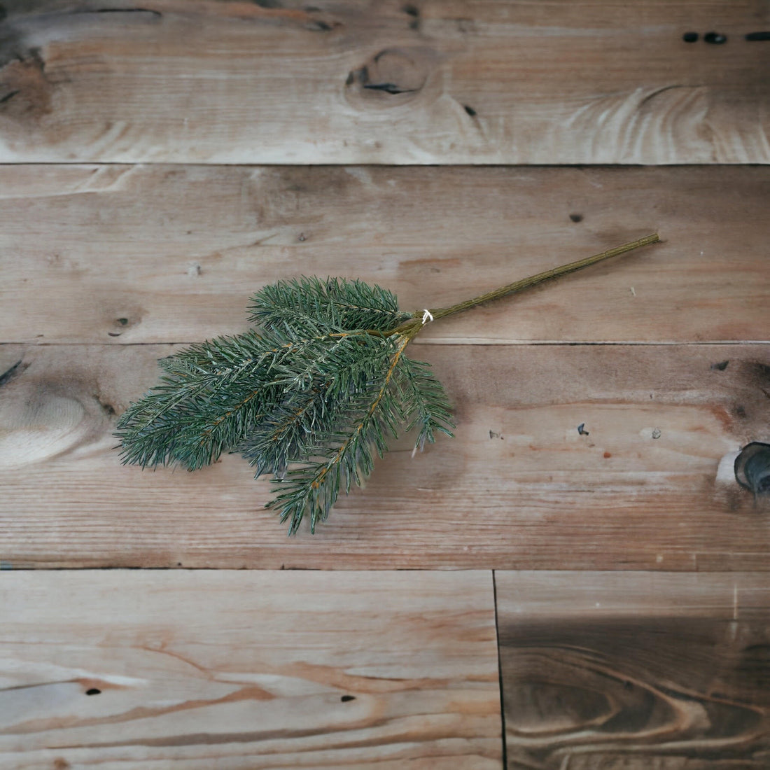 True Touch Pine