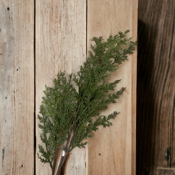 Cedar Spray