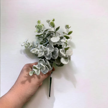Frosted Eucalyptus Picks