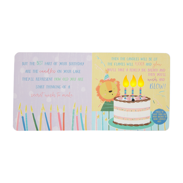 Mudpie Happy Birthday Board Book
