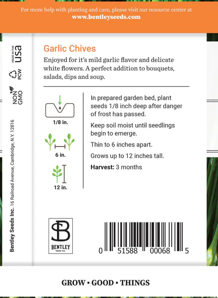Garlic Chives Seed Packet (Allium tuberosum)