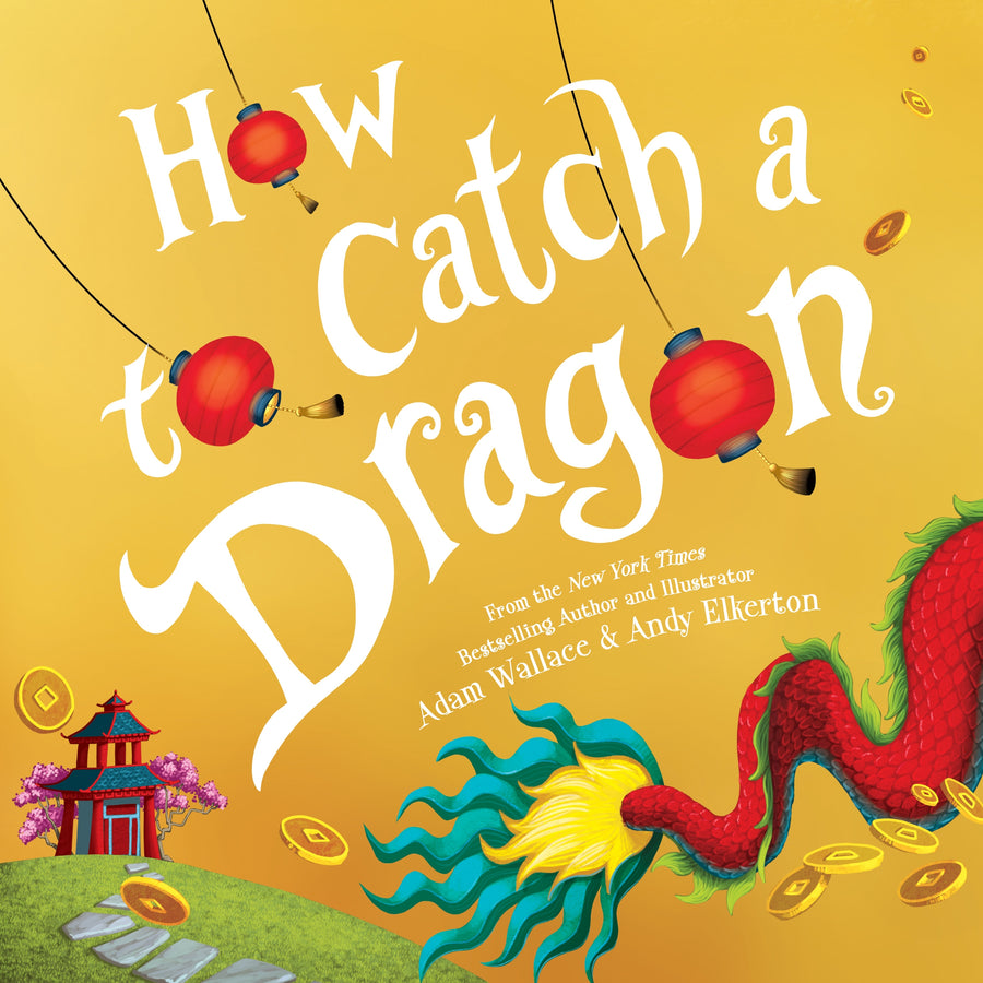 How to Catch a Dragon Book