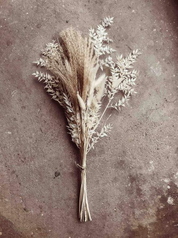 White Boho Scandi Dried Flowers Mix