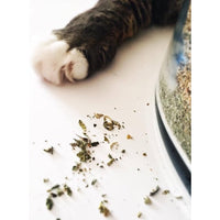 Catnip Jar