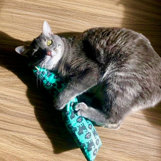 Kick-Its Jumbo Catnip Kicker Cat Toy