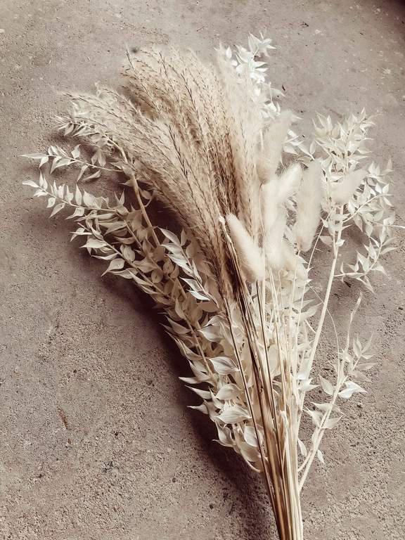 White Boho Scandi Dried Flowers Mix