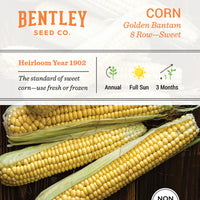 Corn, Golden Bantam Seed Packet (Zea mays)