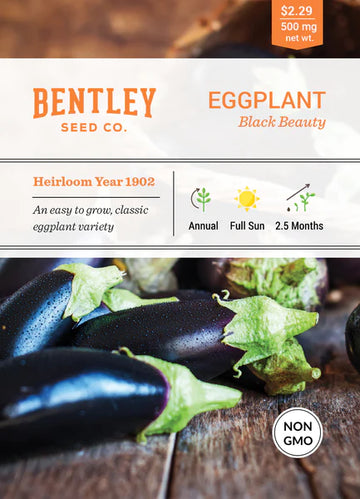 Eggplant, Black Beauty Seed Seed Packet (Solanum melongena)