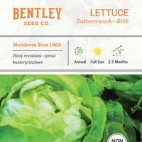 Lettuce, Buttercrunch Seed Packets (Lactuca sativa)
