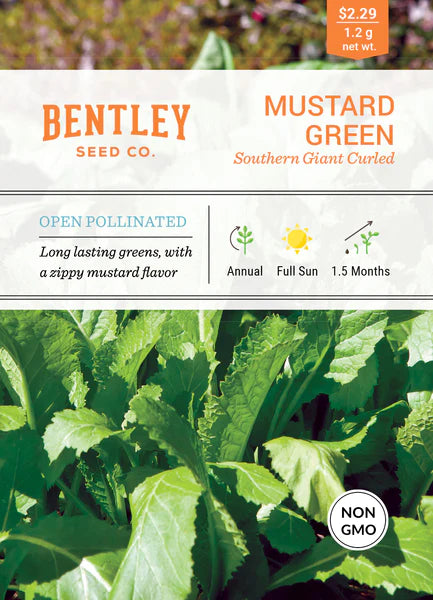 Mustard, Southern Giant Curled India Seed Packet (Brassica juncea)