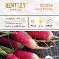 Radish, French Breakfast Seed Packet (Raphanus raphanistrum subsp. sativus)