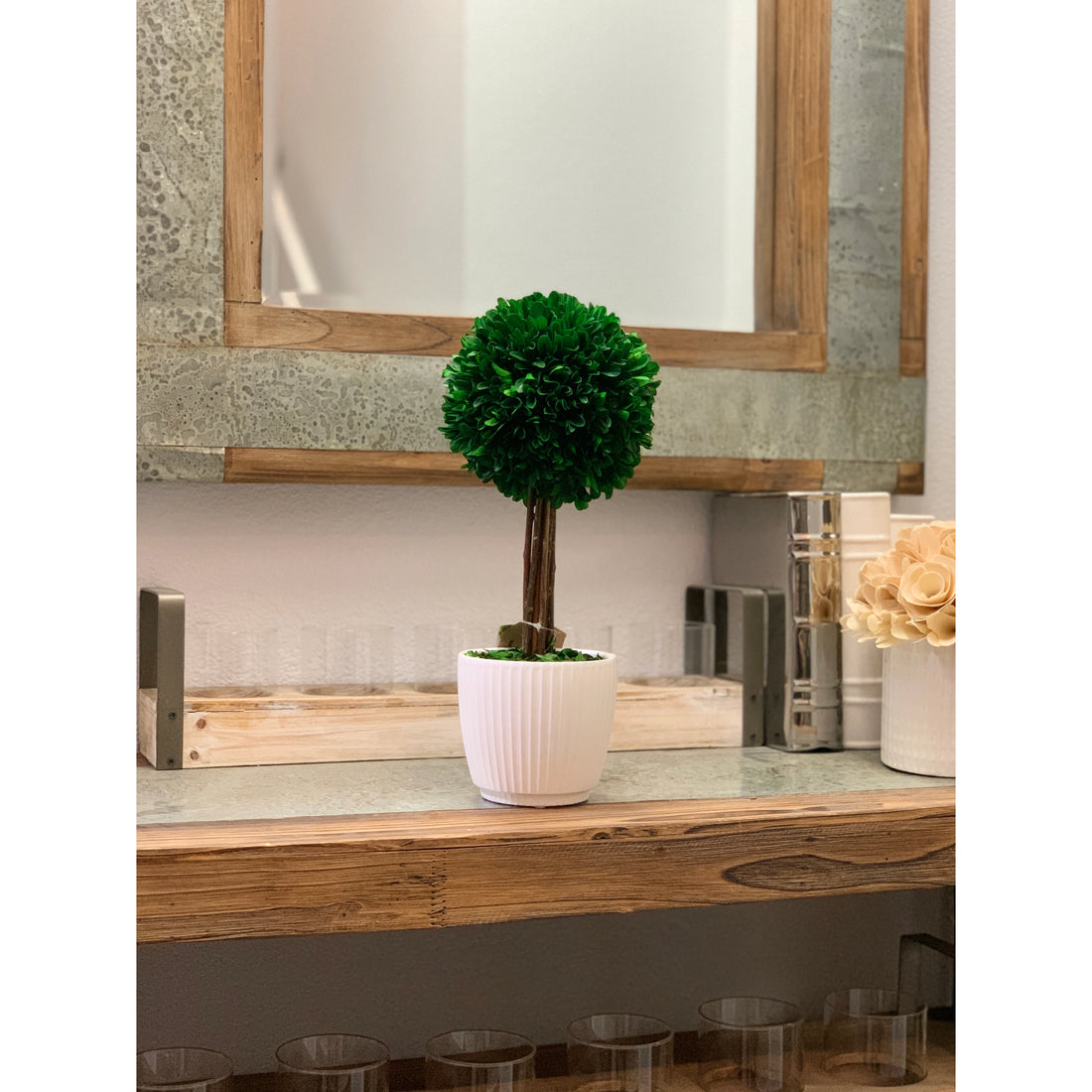 Preserved Boxwood Topiary in White Pot