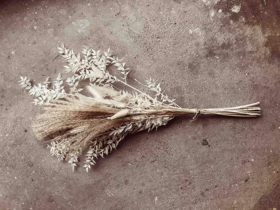White Boho Scandi Dried Flowers Mix