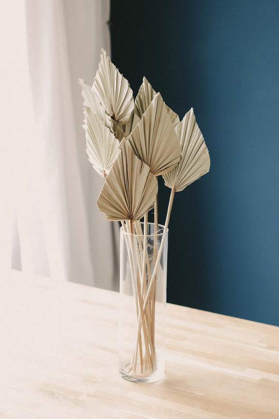 Dried Palm Leaf Spear - Natural