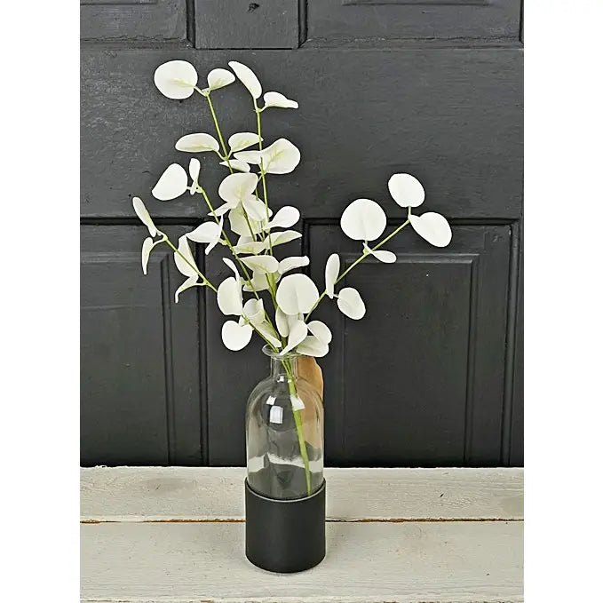 16" Foamy Silver Dollar Pick