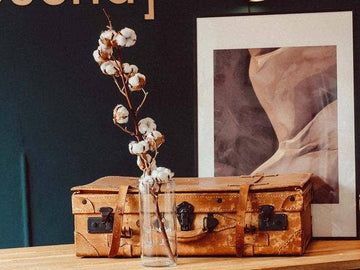 Dried Cotton Branch