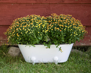 White Enamel Bathtub