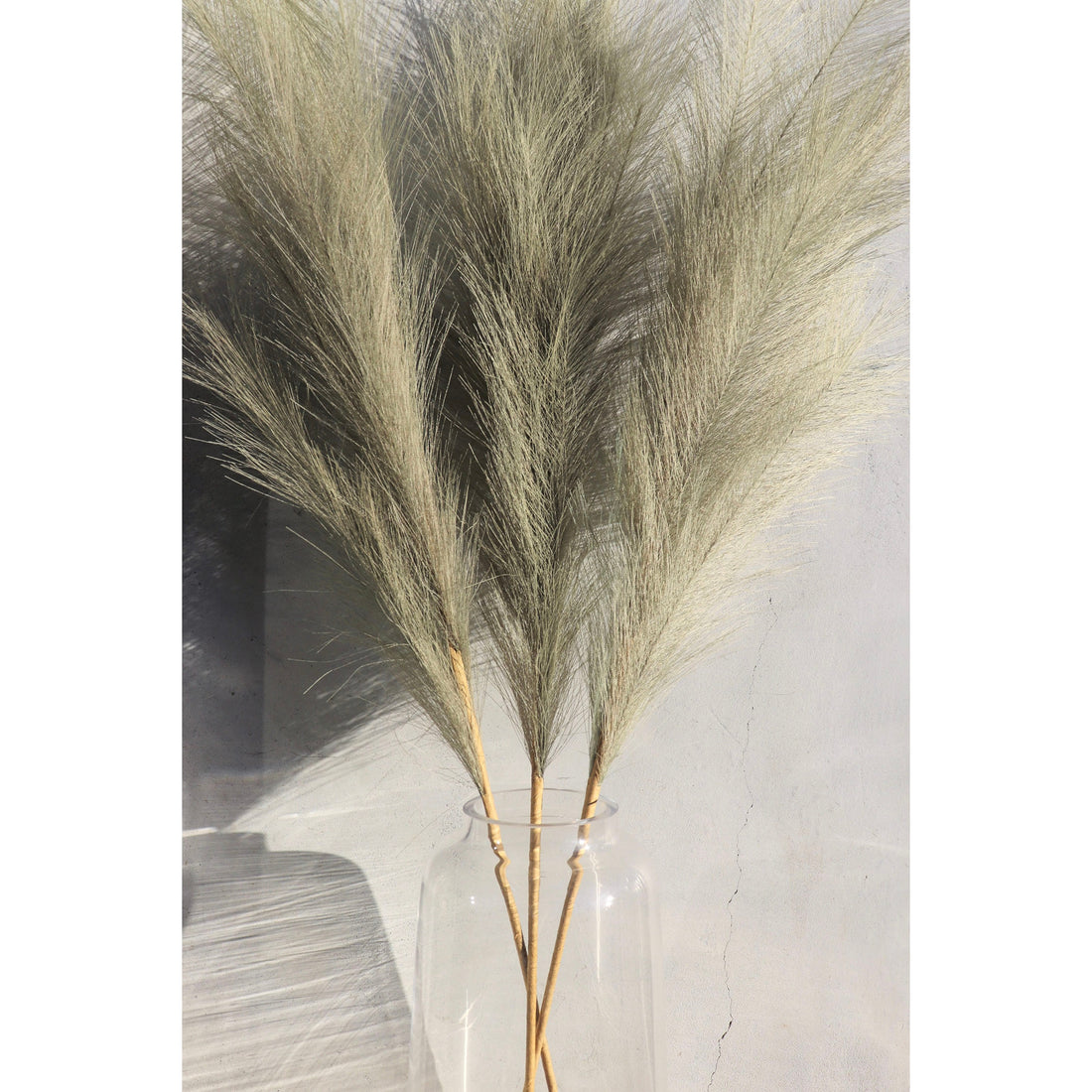 Wildflower Co. Large Faux Pampas Grass - Olive