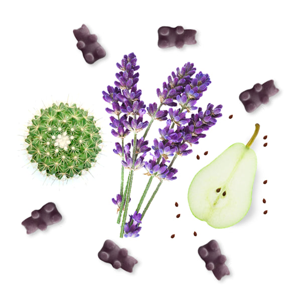 Lavender Cactus Wax Melts - 2 oz. Sampler Pouch