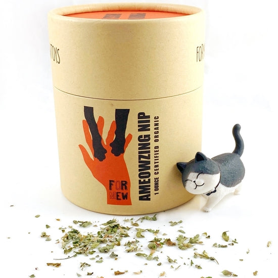 Catnip Jar