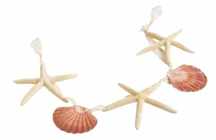 Seashell & Starfish Garland