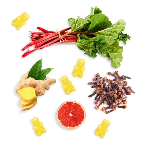 Ginger Rhubarb Wax Melts - 2 oz. Sampler Pouch