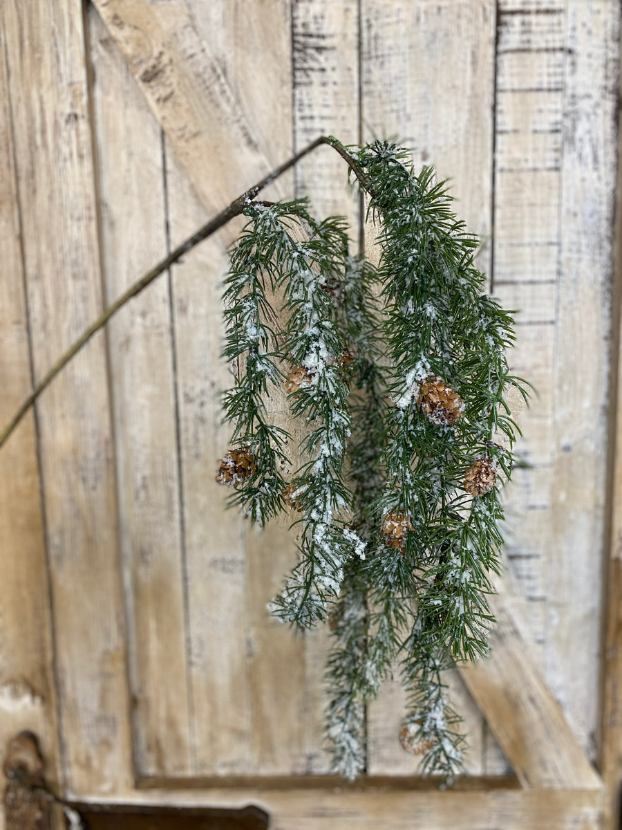 Frosted Winter Branch Draped With Pinecones
