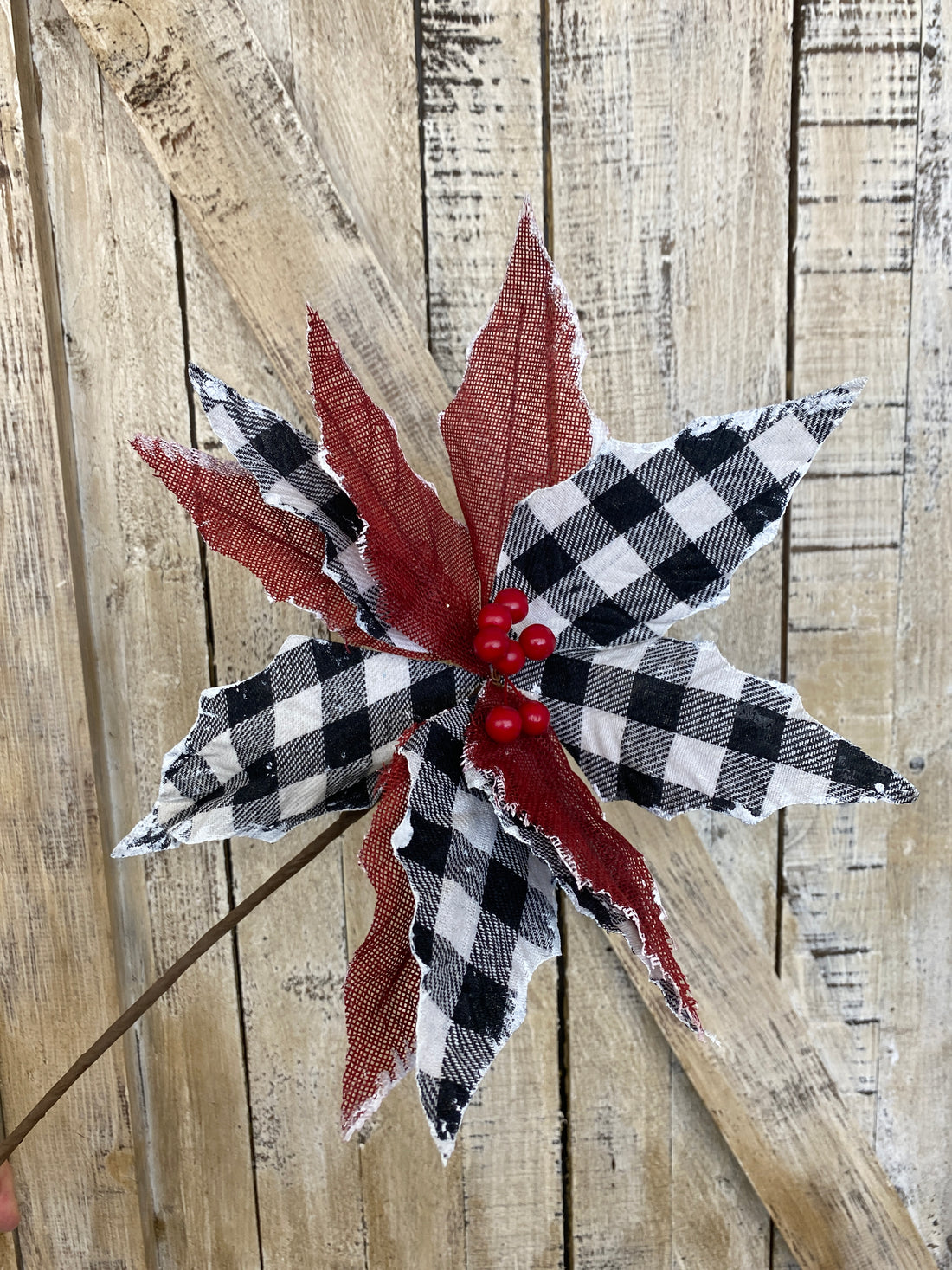 Black and White Check Poinsettia With Berries