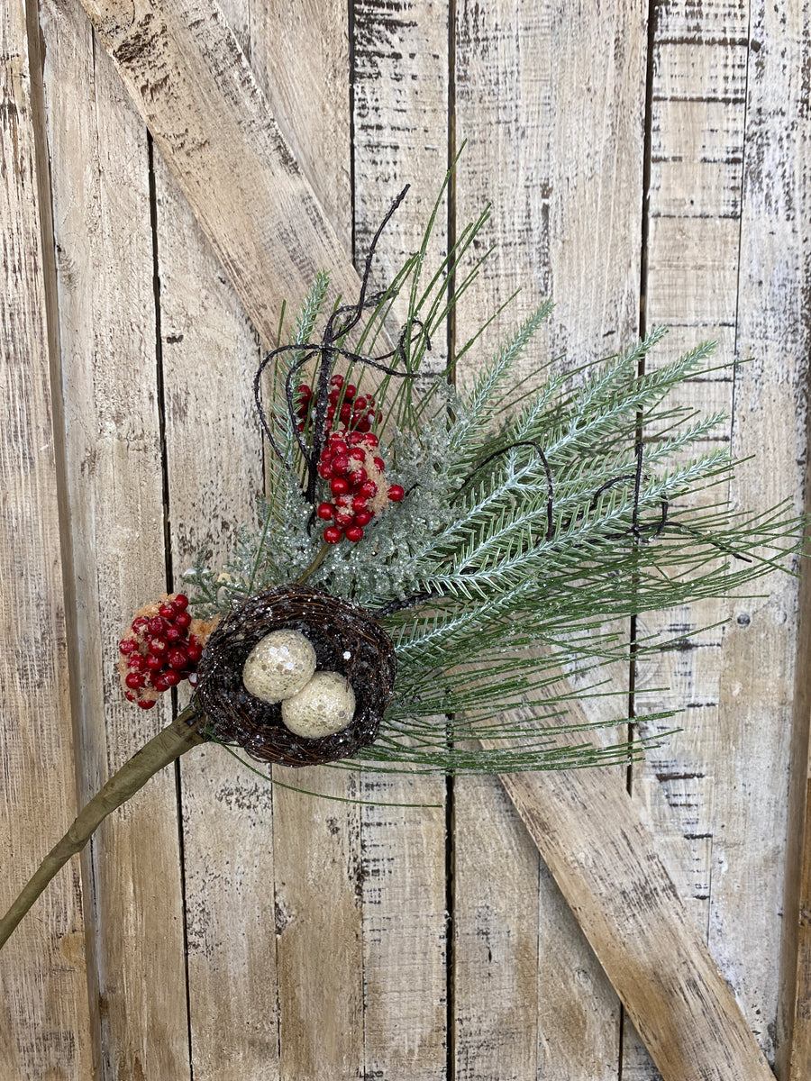 Evergreen With Berries and Bird Nest