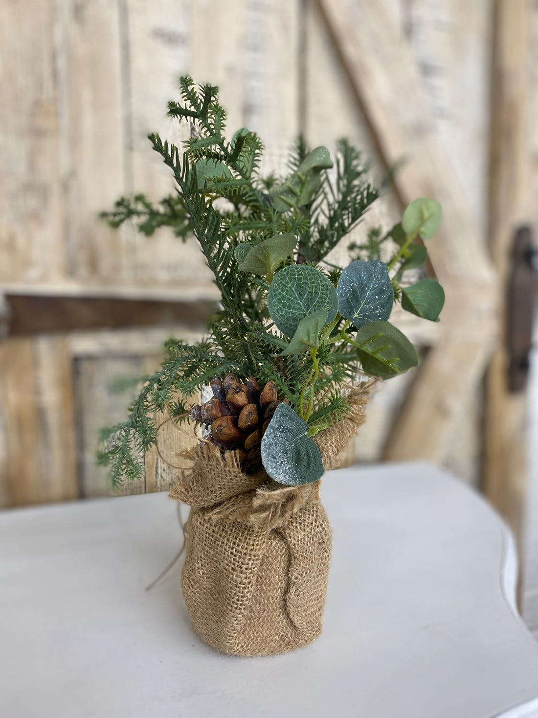 Pine & Eucalyptus Tree in Burlap Bag