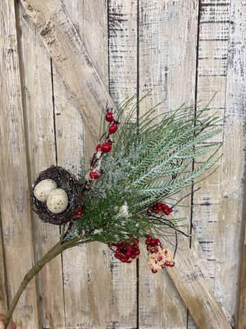 Evergreen Pick With Bird's Nest and Berries
