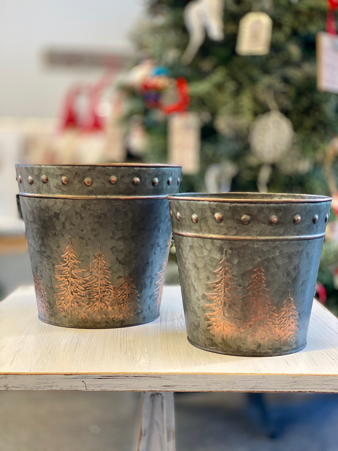 Round Metal Tree Engraved Planter/Bucket