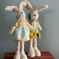 Mr. and Mrs. Garden Bunny