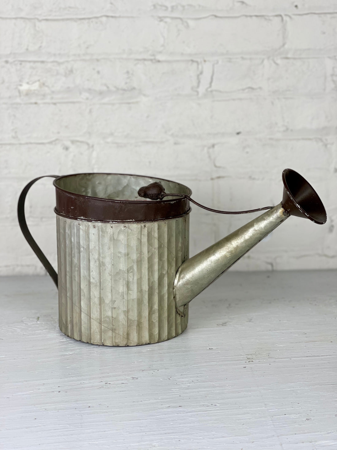 Tin Bird Water Can Planter