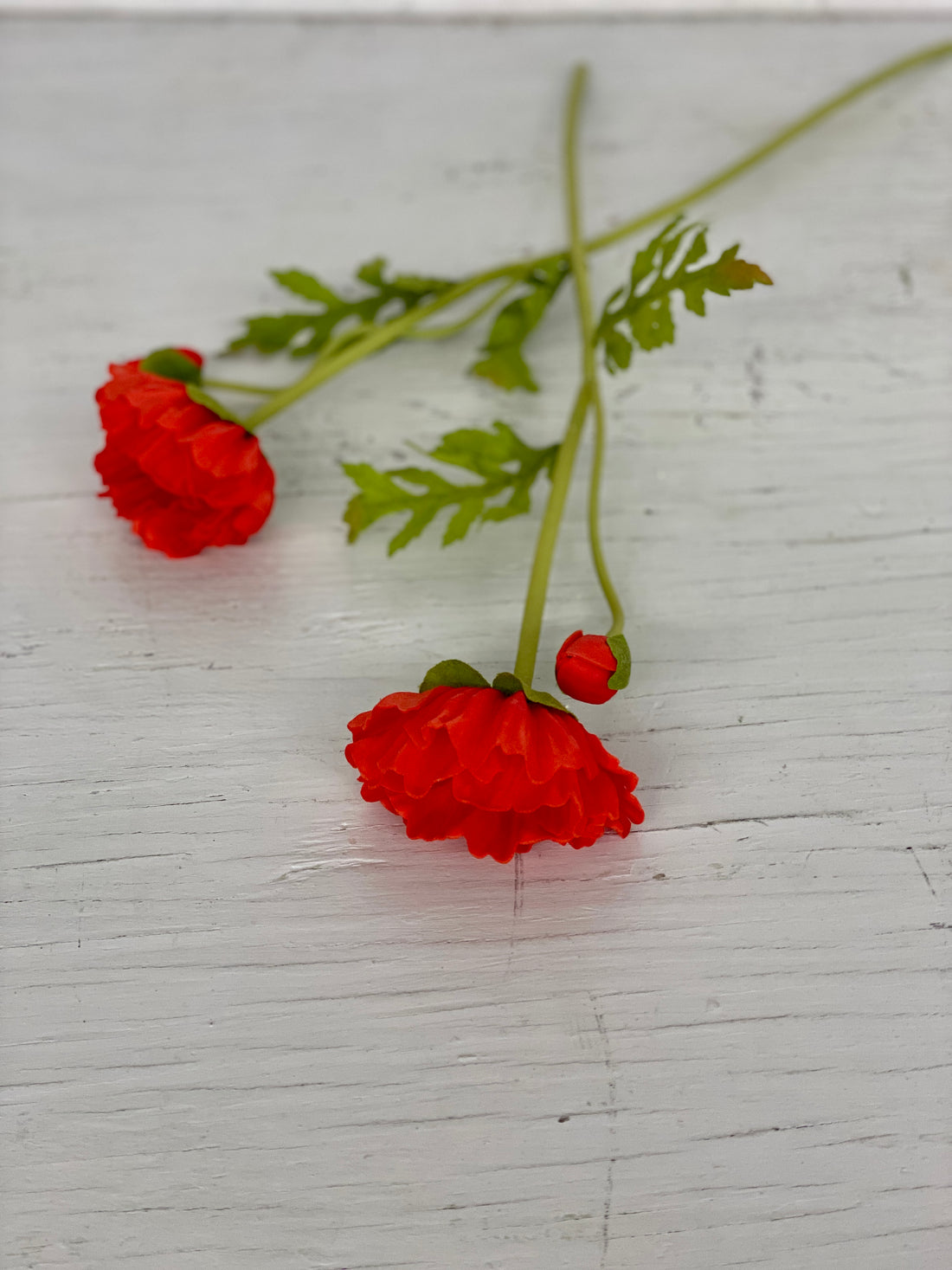 Poppy Stem (Bloom + Bud) - Red