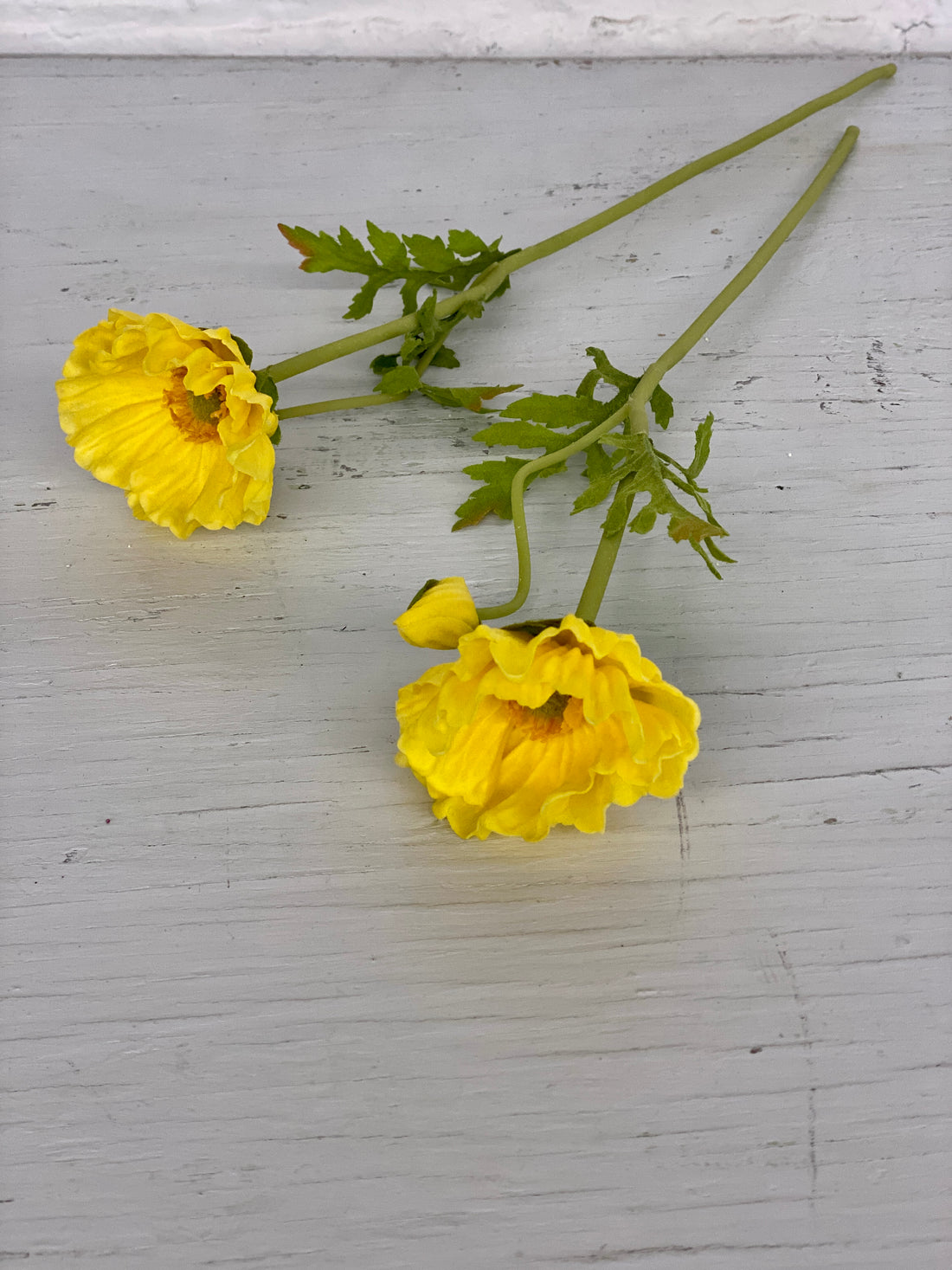 Poppy Stem (Bloom + Bud) - Yellow