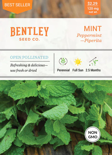Mint, Peppermint Seed Packet (Mentha)