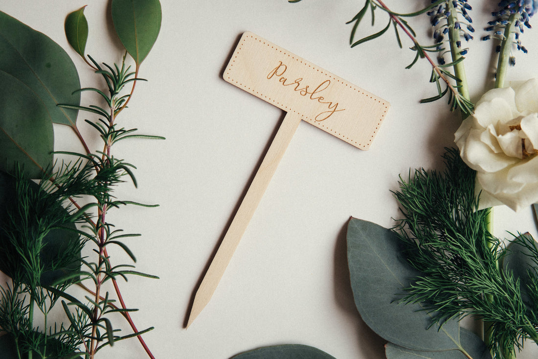 Herb Garden Markers