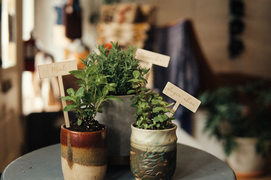 Herb Garden Markers