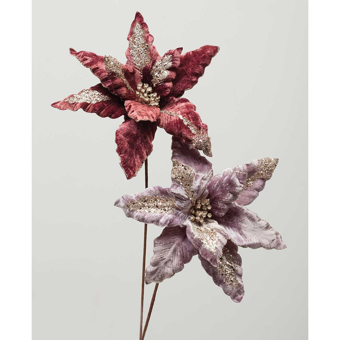 Vintage Velvet Poinsettia