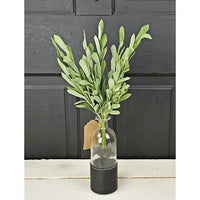 14" Foamy Willow Leaves Bush