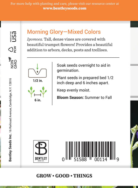 Morning Glory Seed Packet (Ipomoea purpurea)