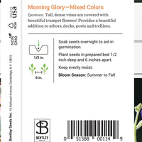 Morning Glory Seed Packet (Ipomoea purpurea)