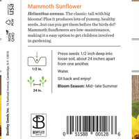 Sunflower - Mammoth Seed (Helianthus)