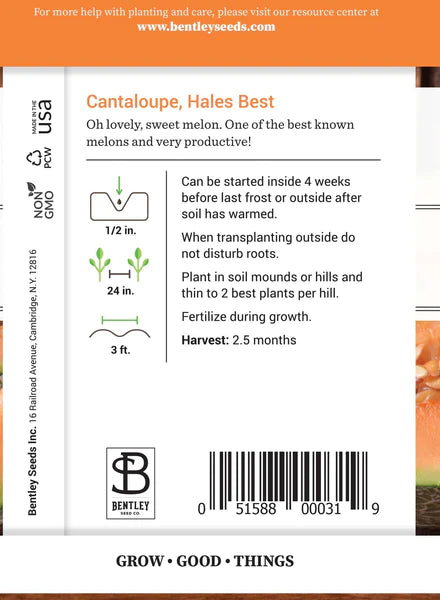 Cantaloupe, Hale's Best Seed Packet (Cucumis melo var. cantalupensis)