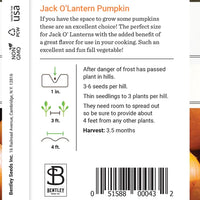 Pumpkin, Jack O' Lantern Seed Packet (Cucurbita)